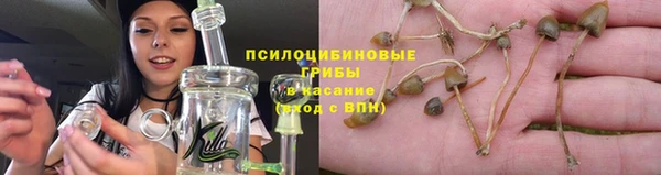 ПСИЛОЦИБИНОВЫЕ ГРИБЫ Богородицк
