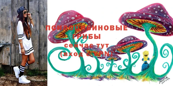 ПСИЛОЦИБИНОВЫЕ ГРИБЫ Богородицк
