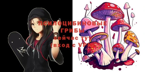 Альфа ПВП Богородск