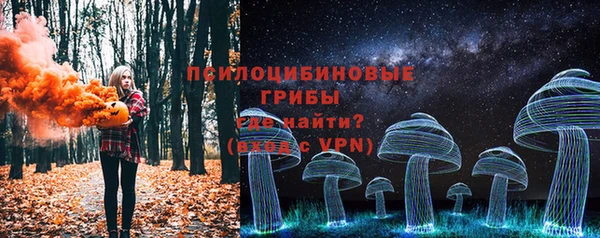 ПСИЛОЦИБИНОВЫЕ ГРИБЫ Богородицк